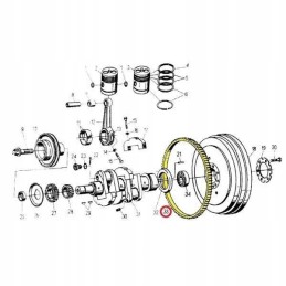 Flywheel ring 126 teeth c 330 50001841