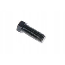 Clutch adjustment screw c 385 80021046