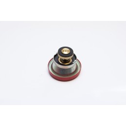 Radiator cap 1698042m91 mf3