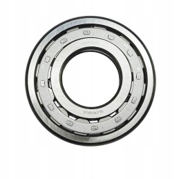 Nup 307 zvl motogeneric bearing