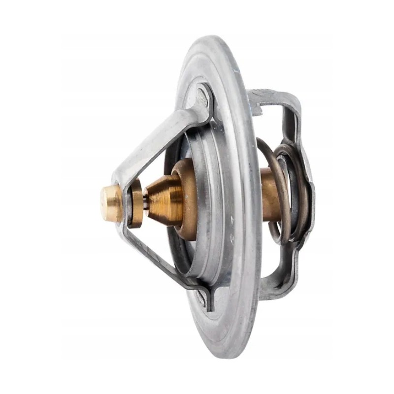 The thermostat fits sw 400 2690tw20