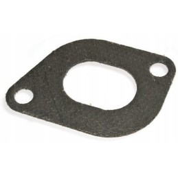 Manifold gasket mtz 80013