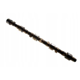 Tyczyn camshaft 4 cylinder c 385 83004501
