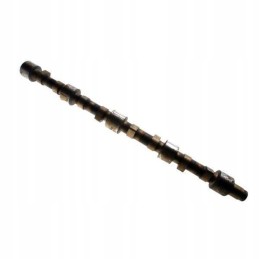 Tyczyn camshaft 4 cylinder c 385 83004501