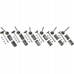 Vpa6055 intake valves and springs set vapormatic jd