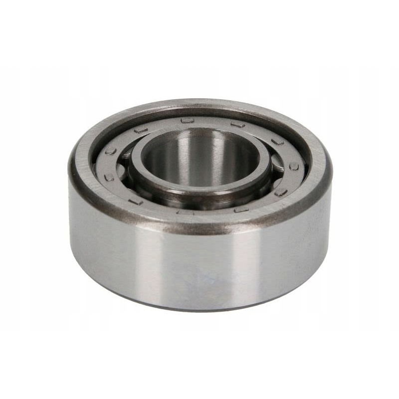 25x62x24 cylindrical roller bearing