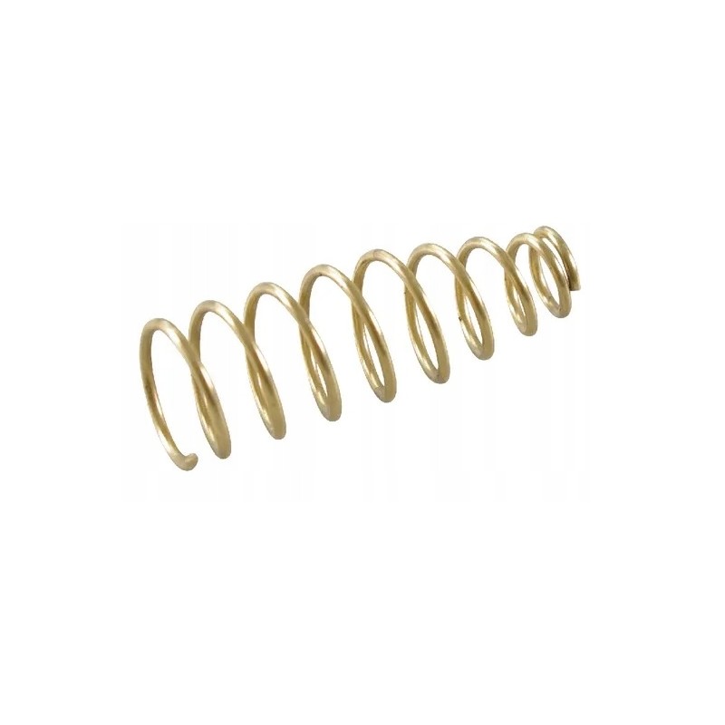 Valve spring