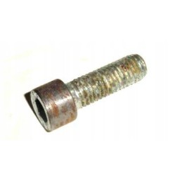 Special screw of the zw motogeneric press