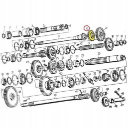 Gear wheel ii ivi direct