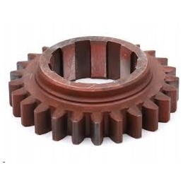 Gear wheel of gear II and IV