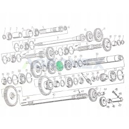 Gear wheel of gear II and IV
