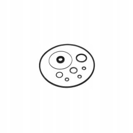 Vpj4004 with repair power steering pump