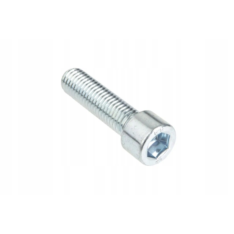 19m9503 Allen screw M12 x 45