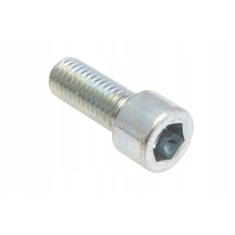 19m9713 Allen screw M12 x 30