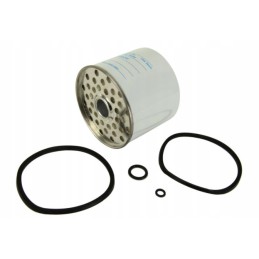 Fuel filter p556245 landini