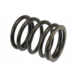 Head valve spring