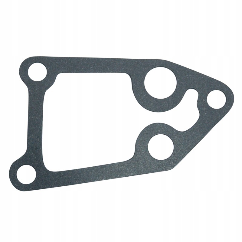 Filter body gasket c 385 80018001