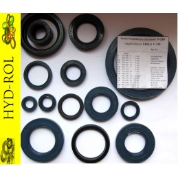 Seals repair kit ursus c 330 f 255