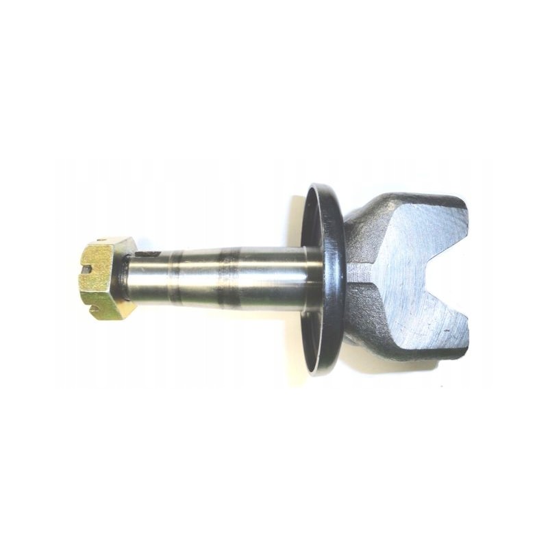 Stub pin 16 with motogeneric nut