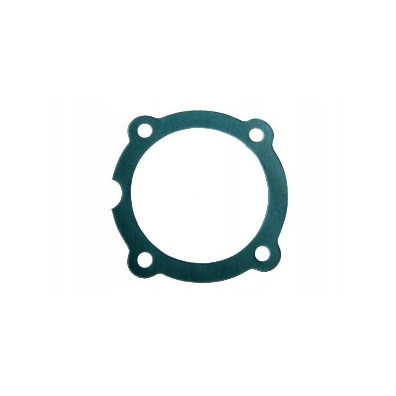 Injection pump gasket c 330 10 5000429