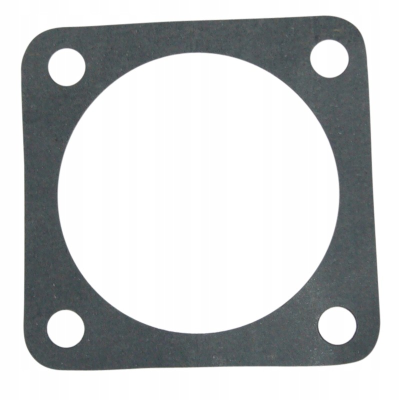Torque multiplier gasket 80126055