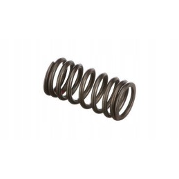 Valve spring new holland case cnh 4895215