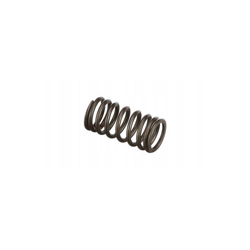 Valve spring new holland case cnh 4895215