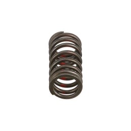 Valve spring new holland case cnh 4895215