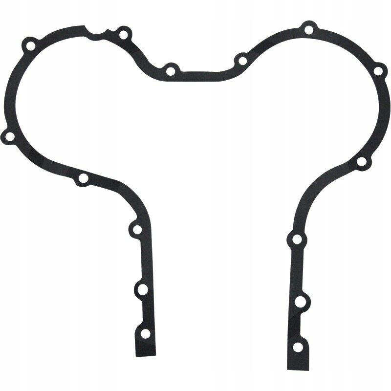 Timing cover gasket 50 00 148 1
