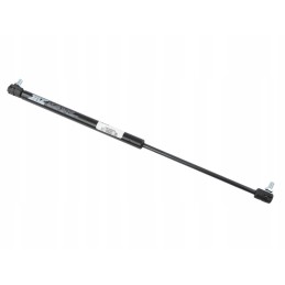 Gas actuator for doors and rear window 3806767m1