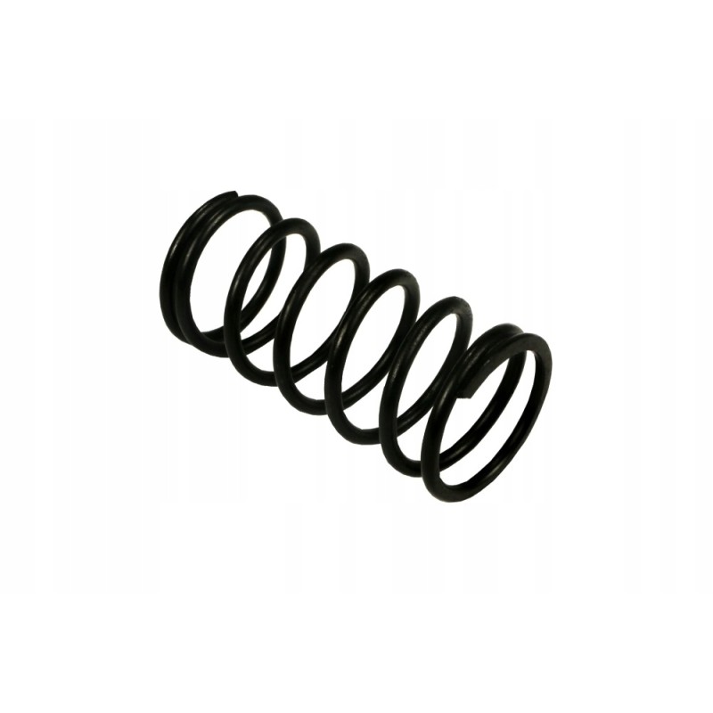 Original valve rocker spring