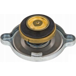 Radiator cap Renault 7700066199