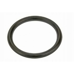 Seal ring for the brake master cylinder ring