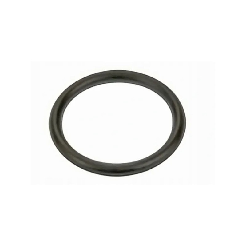 Seal ring for the brake master cylinder ring