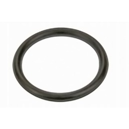 Seal ring for the brake master cylinder ring