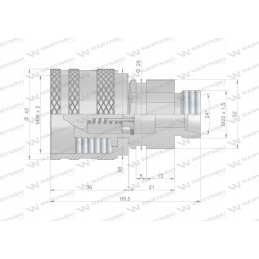 Screwed hydraulic quick connector, M22x1 plug 5