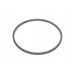 3901953m1 PTO clutch seal ring