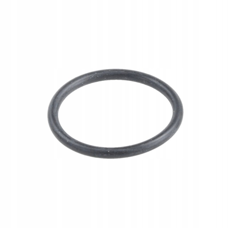 O-ring fendt x548860466000 original