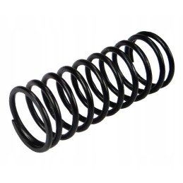 Internal valve spring 950507 Zetor original