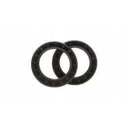 PTO seal new holland case 5119203 cnh