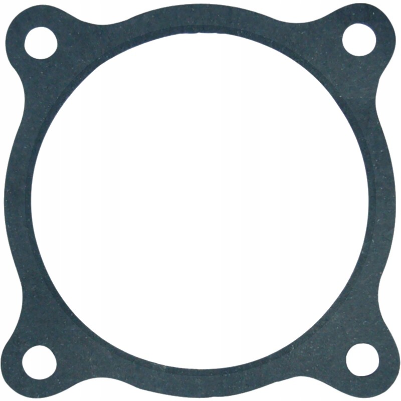 Drive shaft bearing cover seal