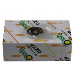 Lifter piston ring mf3 mf4