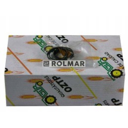 Lifter piston ring mf3 mf4