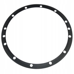 Morpak Ursus ring gear seal