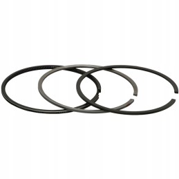 Engine piston rings set case a77727