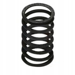 Head valve spring mf 235 mf 255