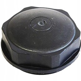 Wheel hub cap nut 65650015950