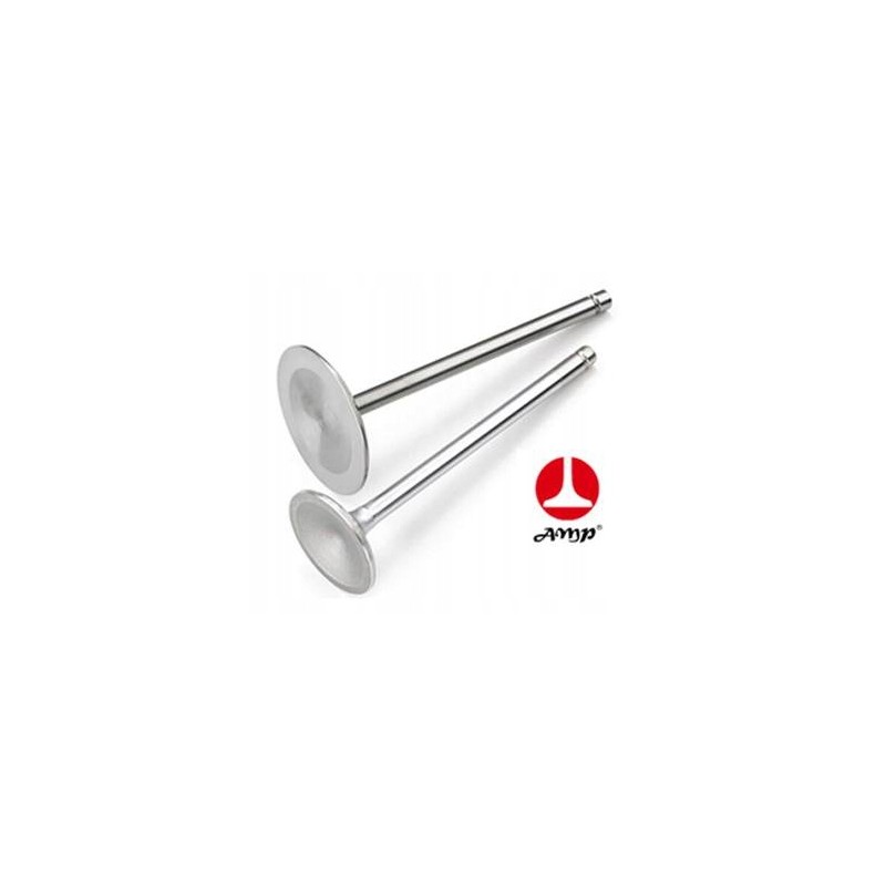 Exhaust valve ii case dd66 paradowscy 713385r2