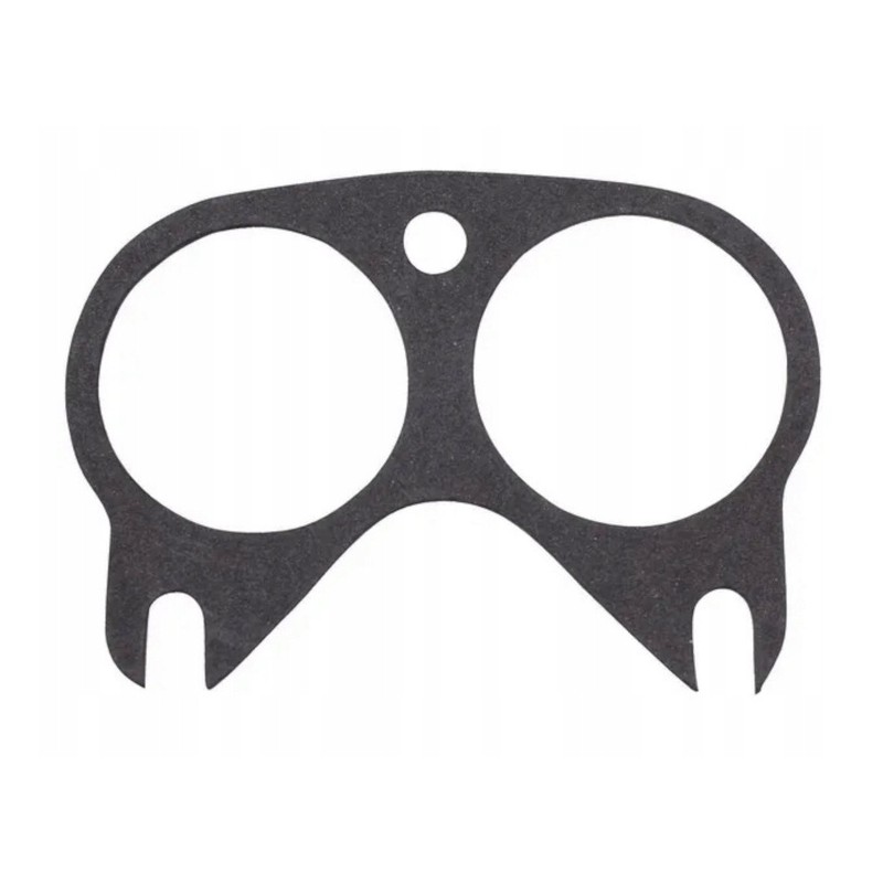 Intake manifold gasket c 330 50005231