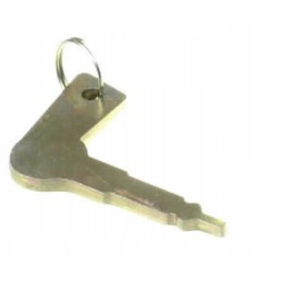 Ignition key t 25 wk856370000